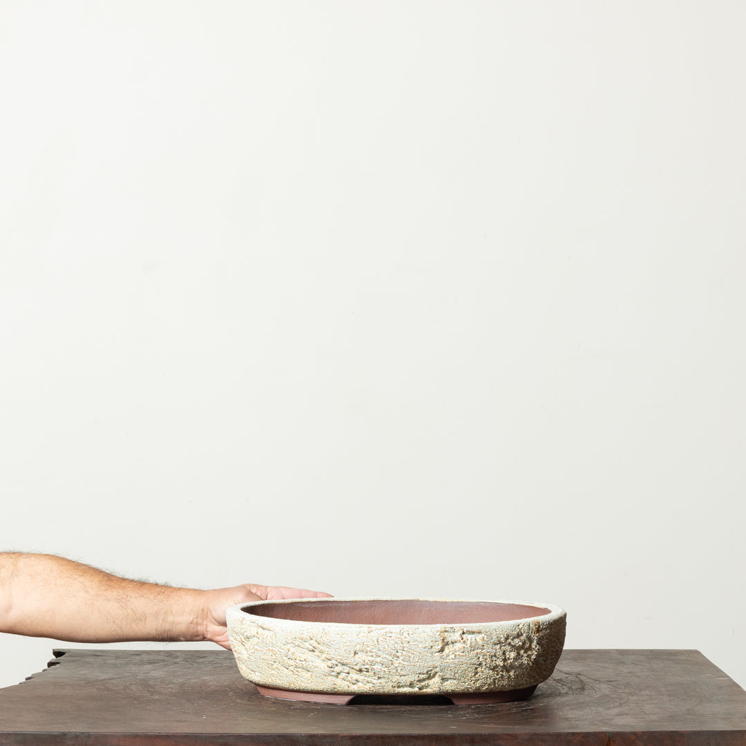 Textured Oval No. 77