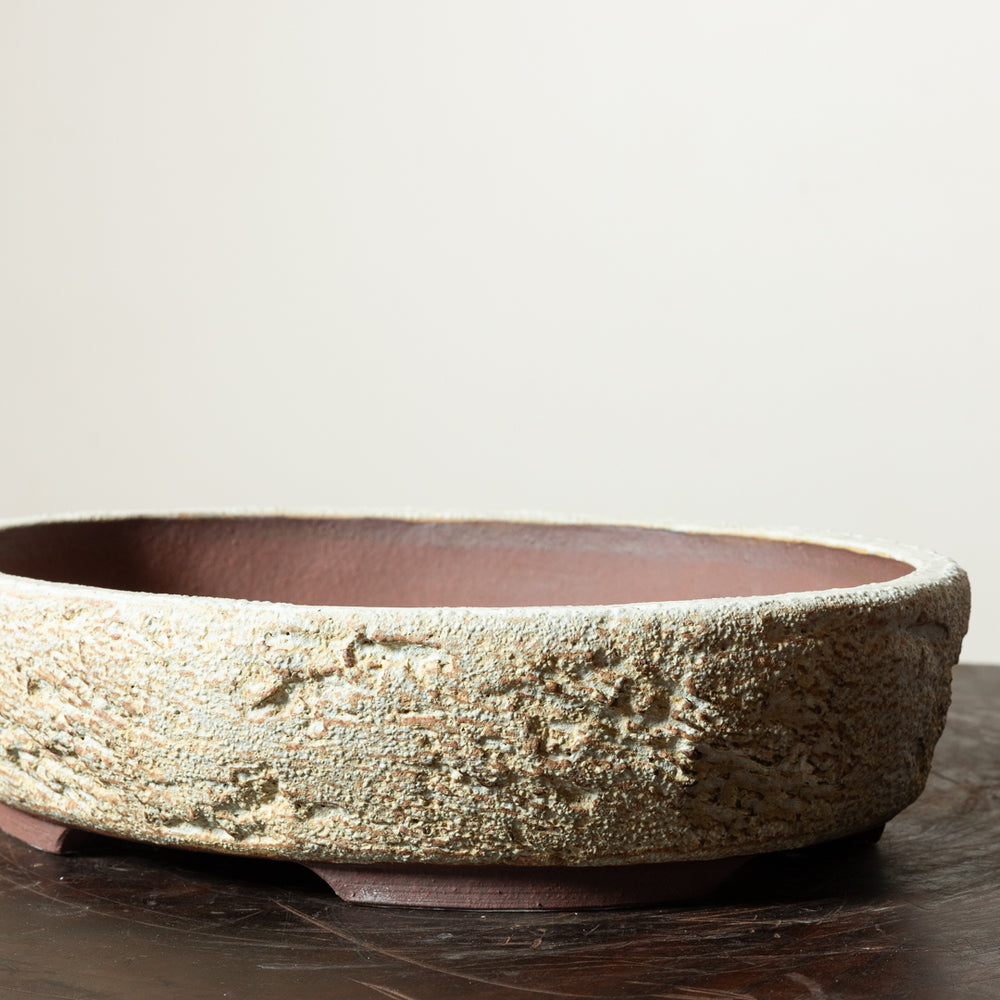 Textured Oval No. 77