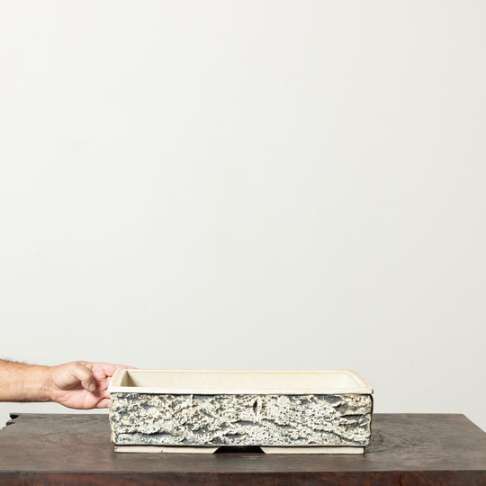 Textured Rectangle No. 61