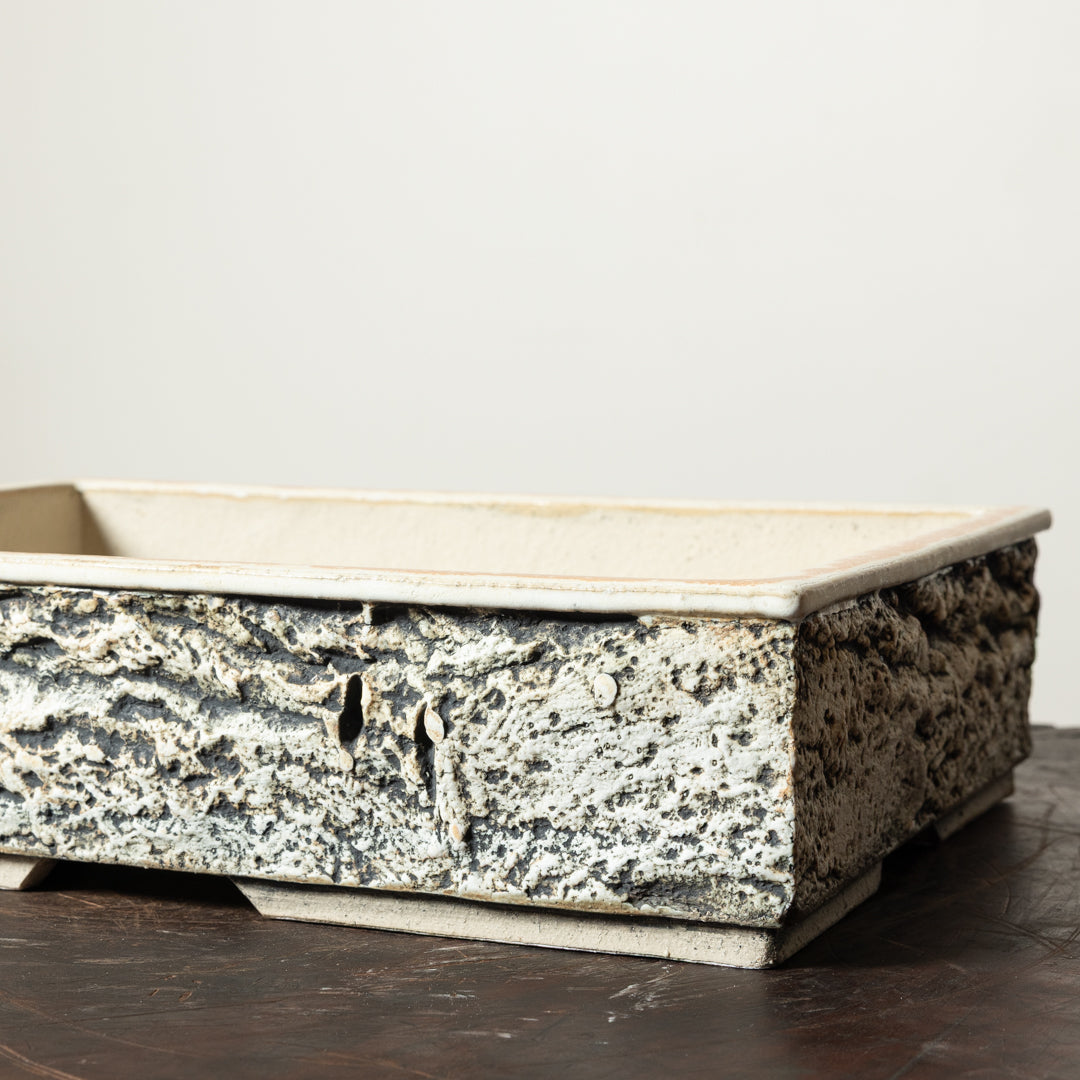 Textured Rectangle No. 61