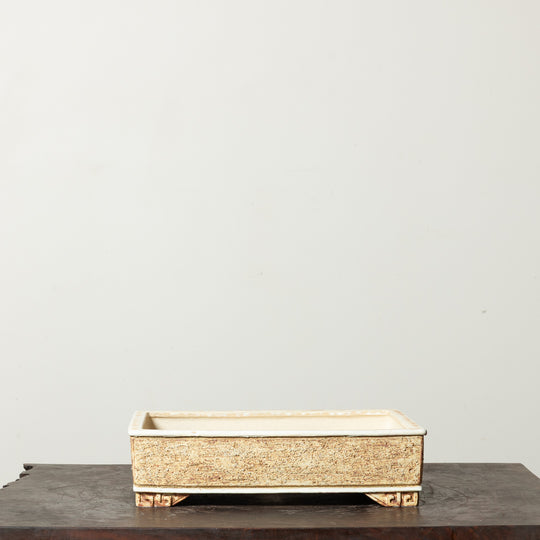 Textured Rectangle No. 64