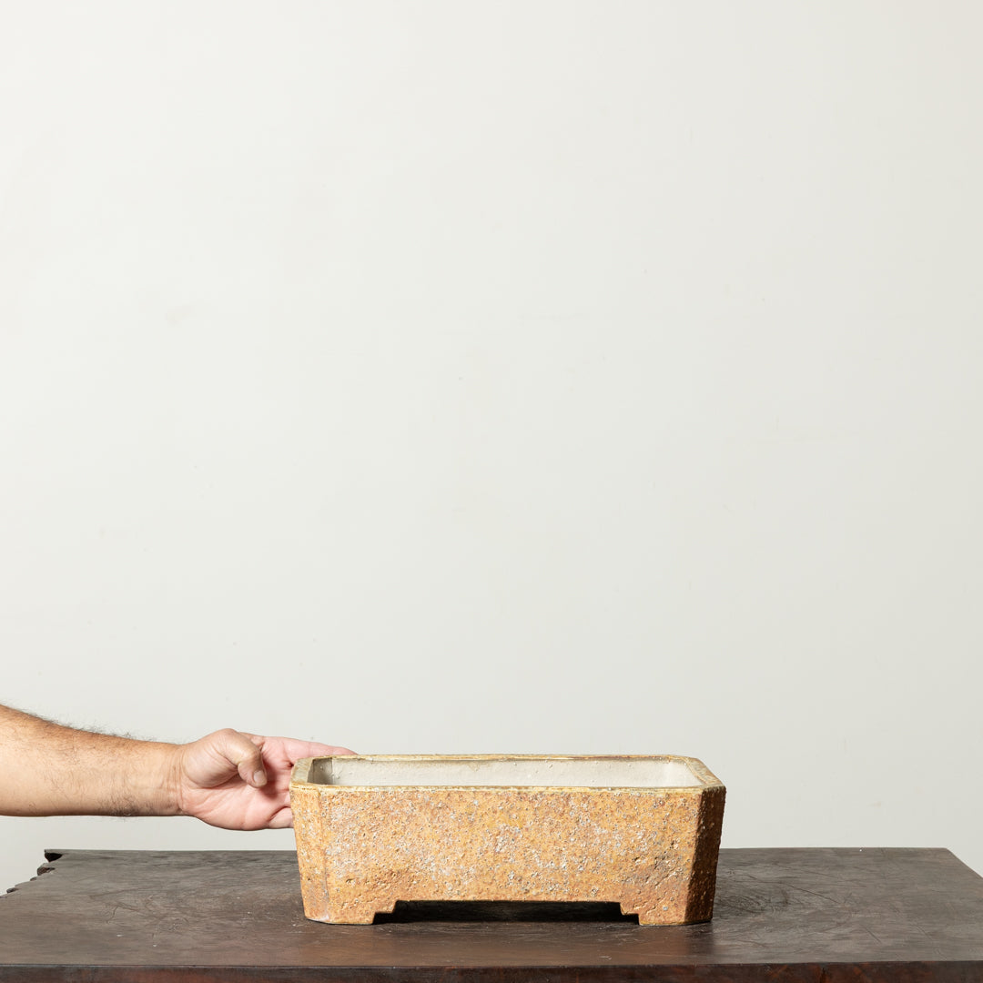 Textured Rectangle No. 71