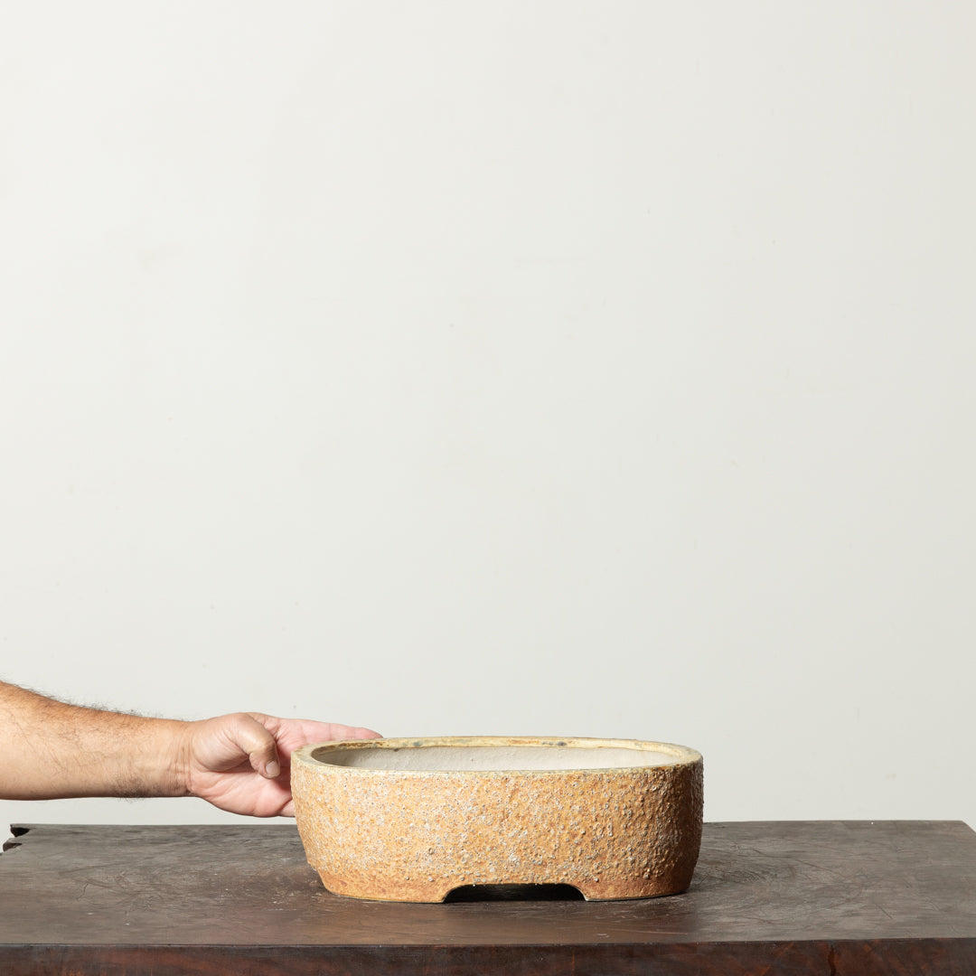 Textured Rectangle No. 67