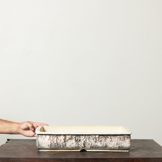 Textured Rectangle No. 59