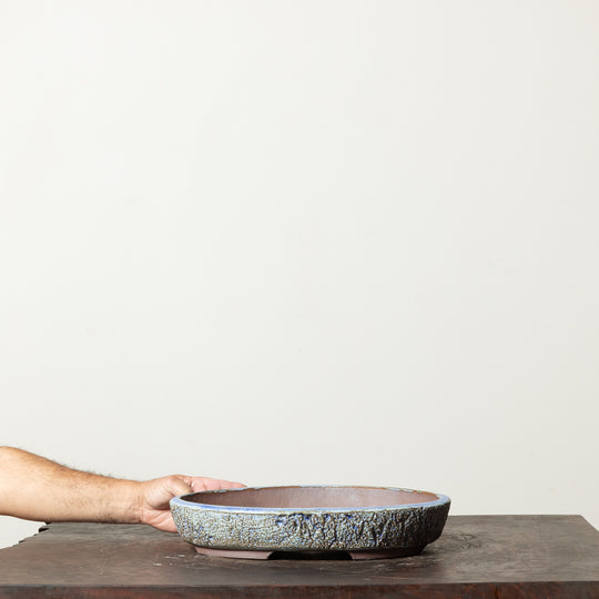 Textured Oval No. 76