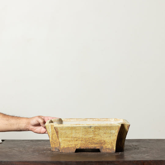 Textured Rectangle No. 62