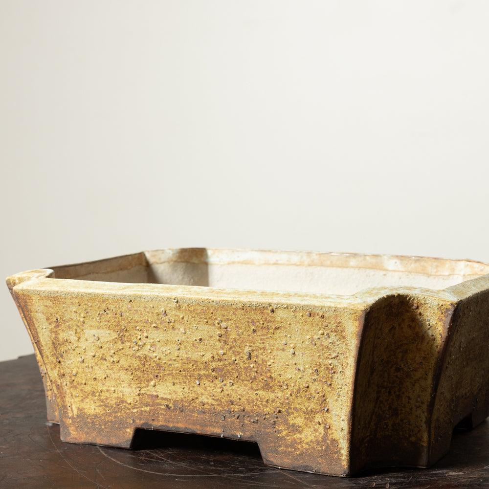 Textured Rectangle No. 62