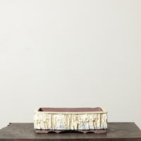 Textured Rectangle No. 73