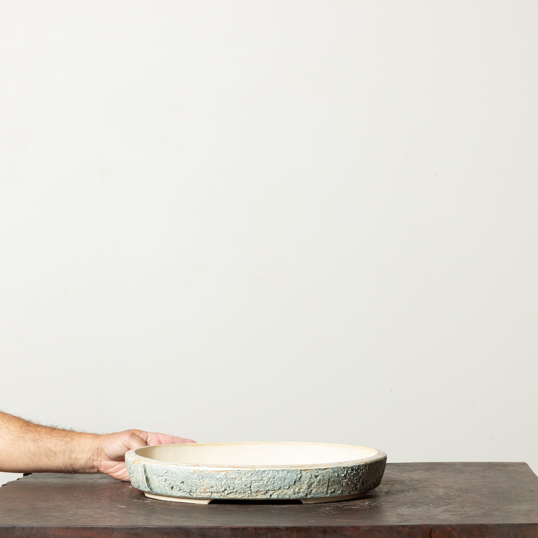 Textured Oval No. 75