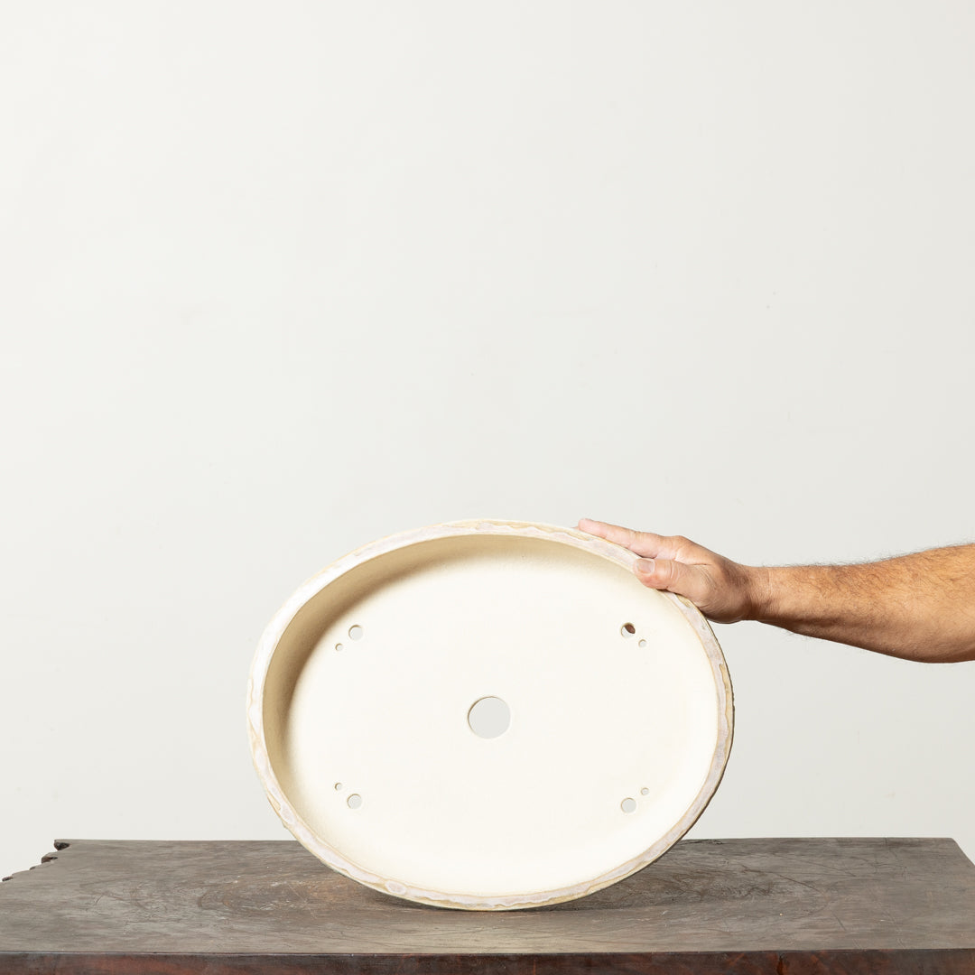 Textured Oval No. 75