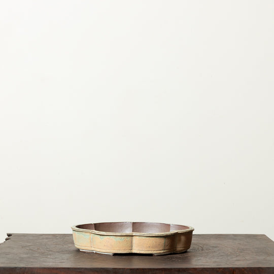 Textured Lotus No. 1