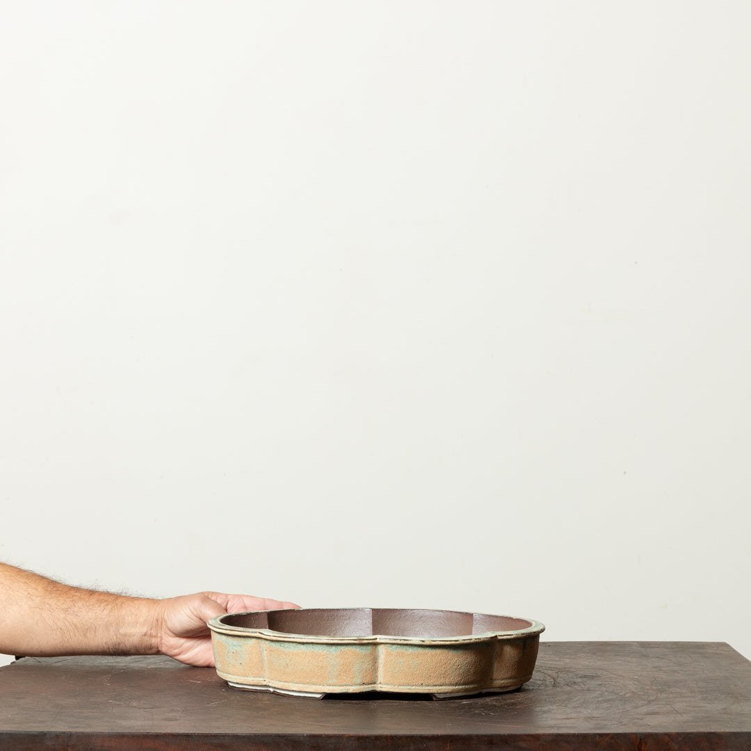 Textured Lotus No. 1