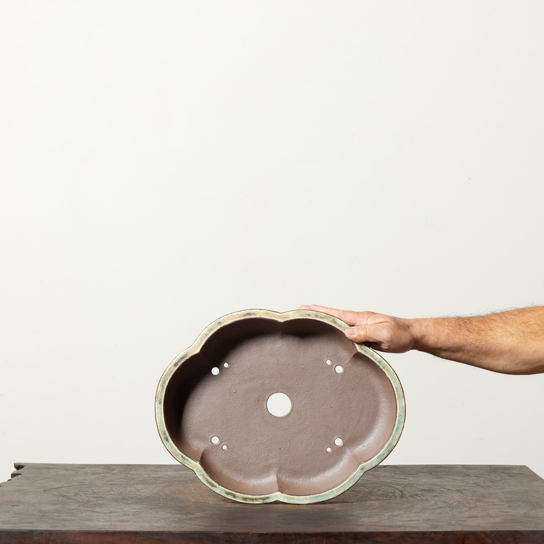 Textured Lotus No. 1