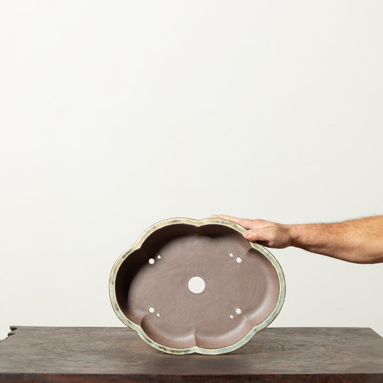 Textured Lotus No. 1