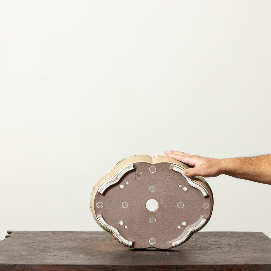 Textured Lotus No. 1