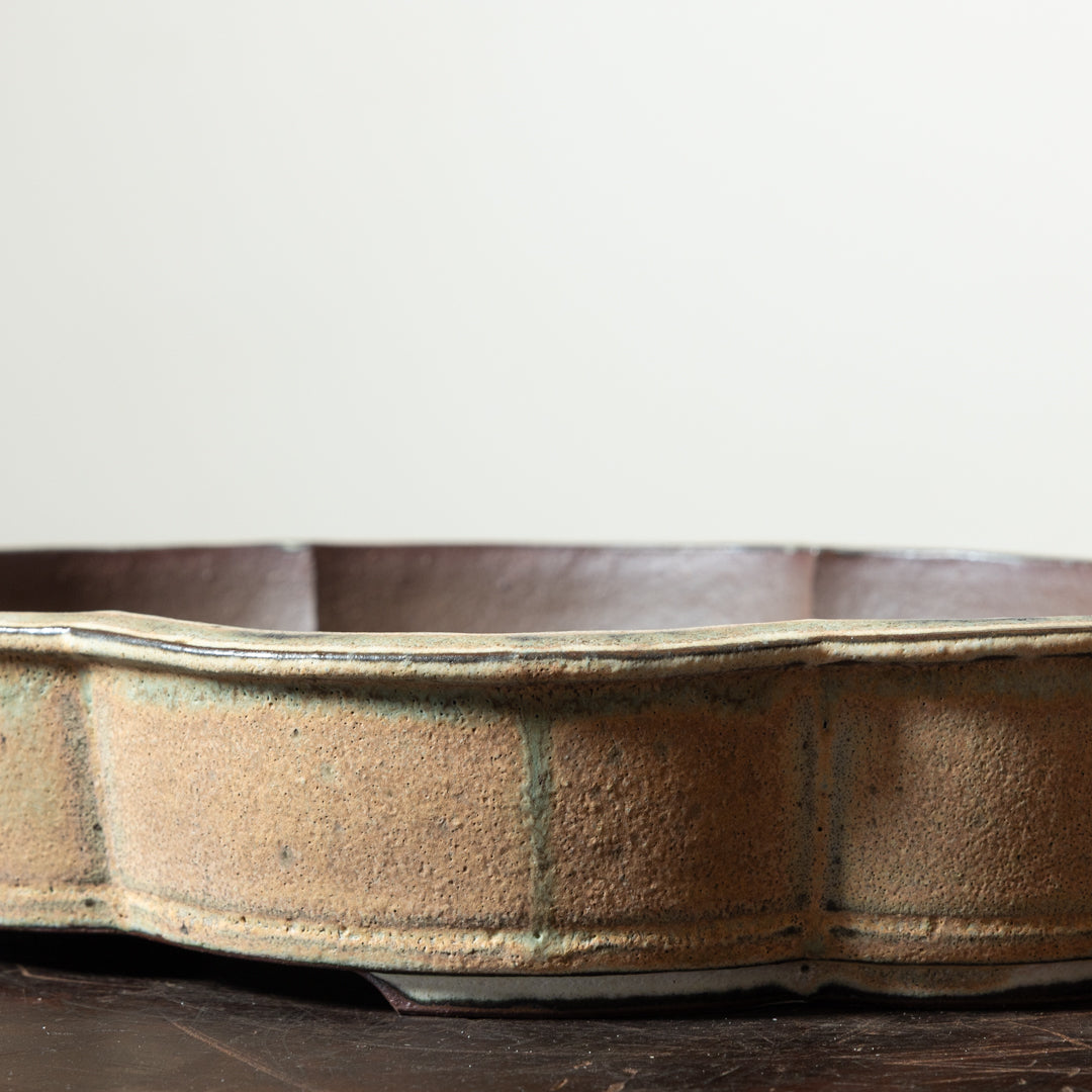 Textured Lotus No. 1