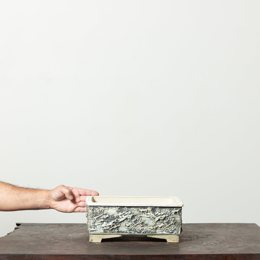 Textured Rectangle No. 75