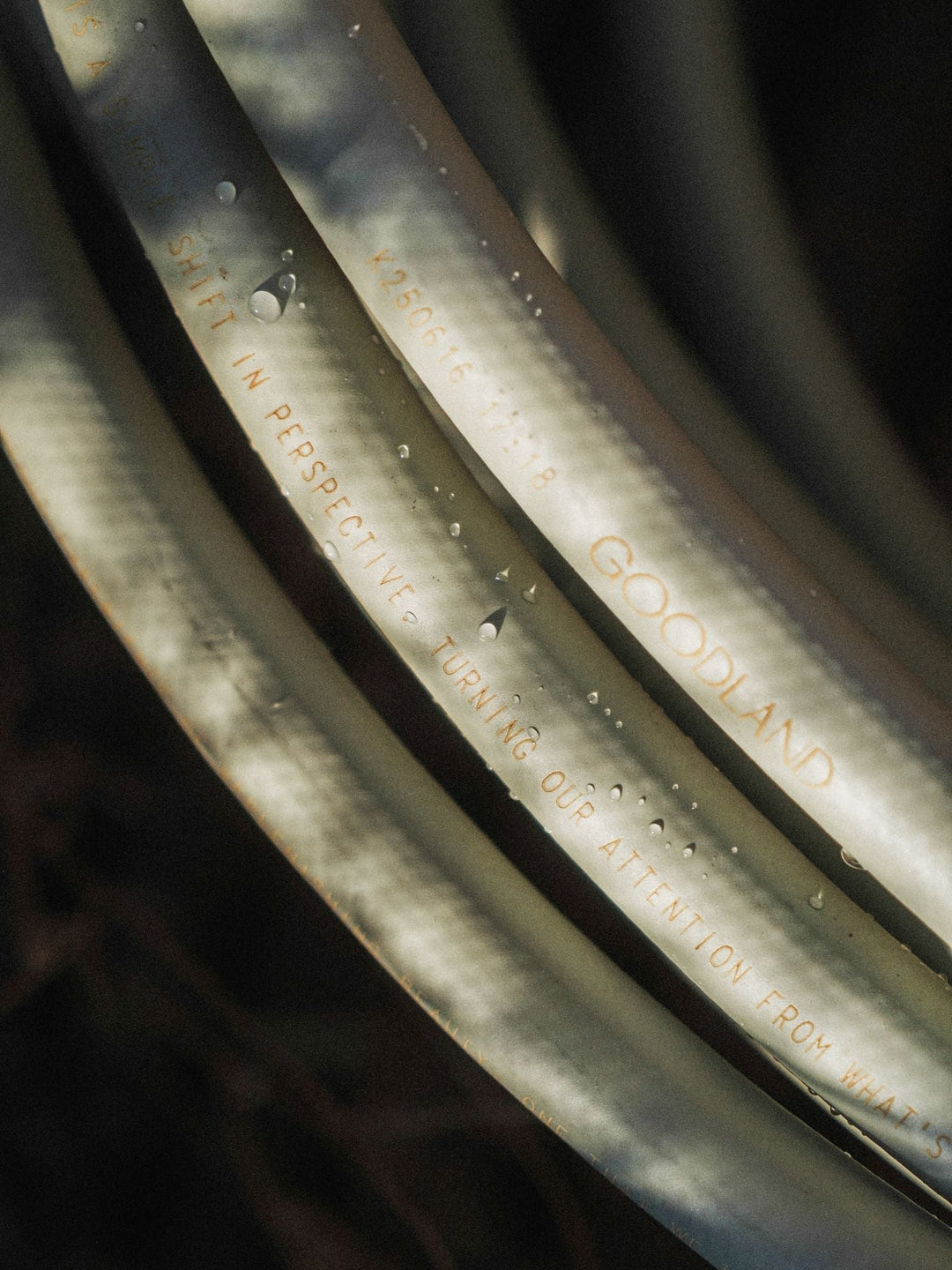 Everlasting Garden Hose