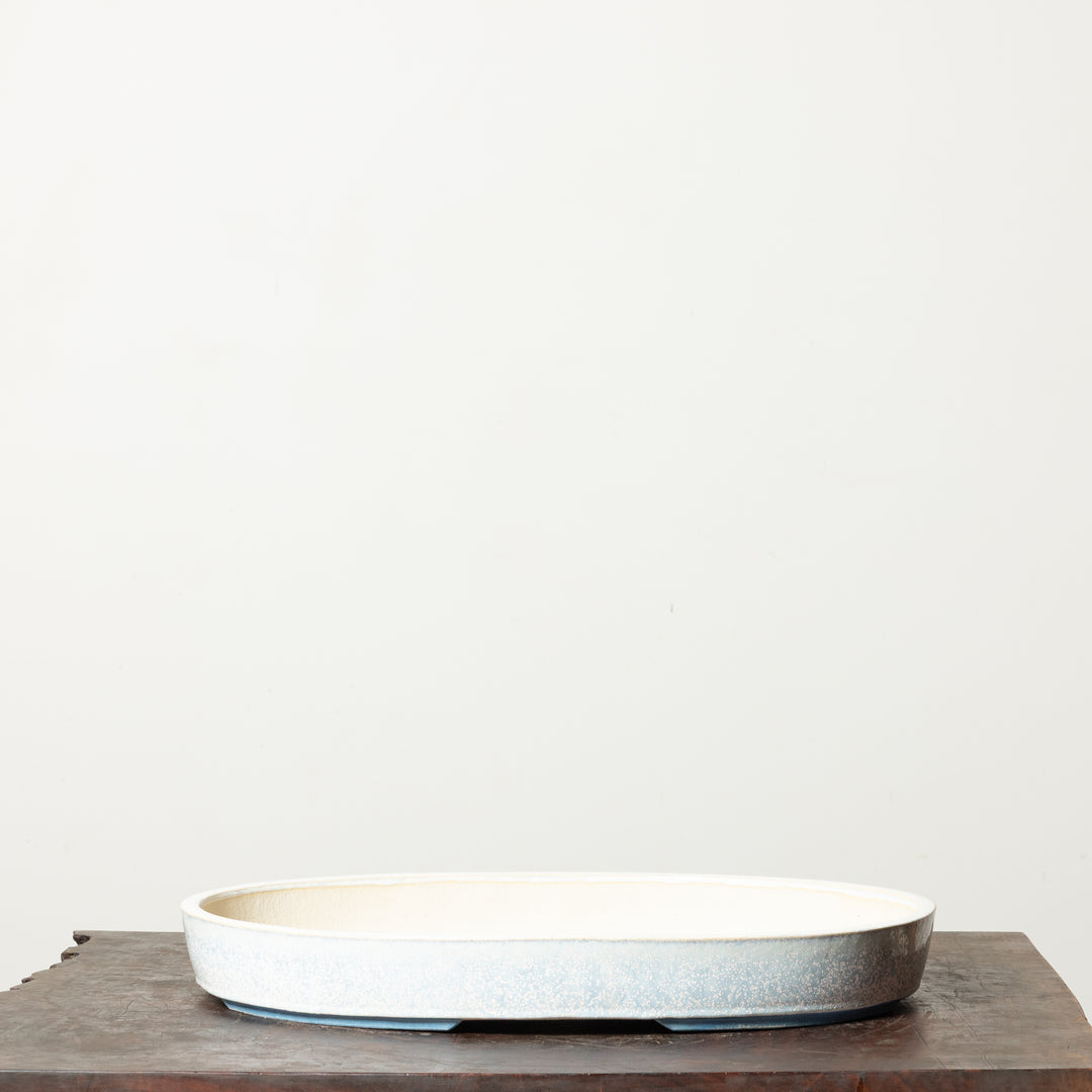 Smooth Oval No. 100