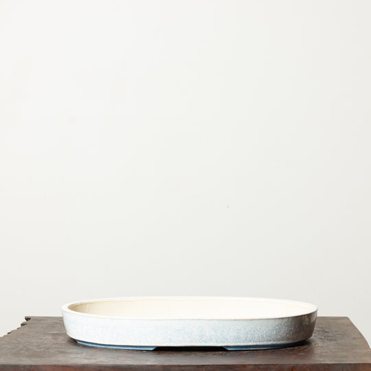 Smooth Oval No. 100