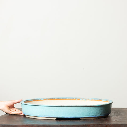 Smooth Oval No. 96