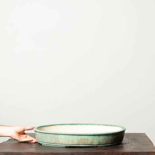 Smooth Oval No. 99