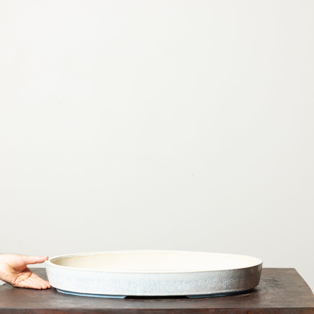 Smooth Oval No. 100