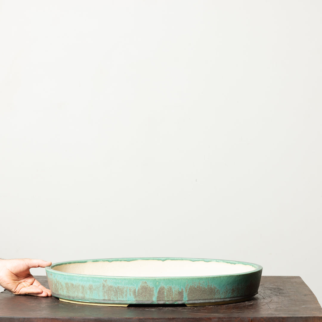 Smooth Oval No. 101