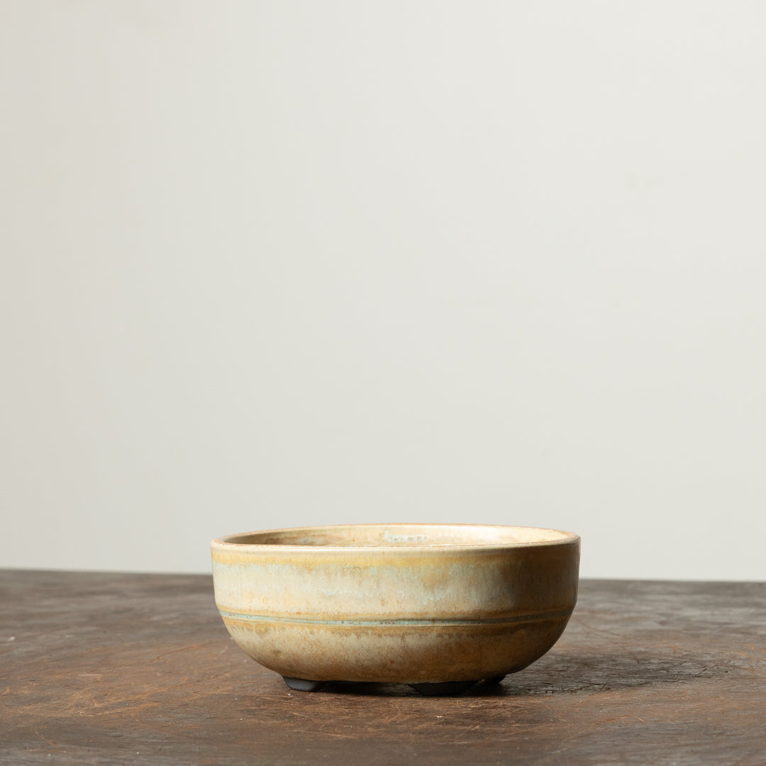 Smooth Oval No. 103