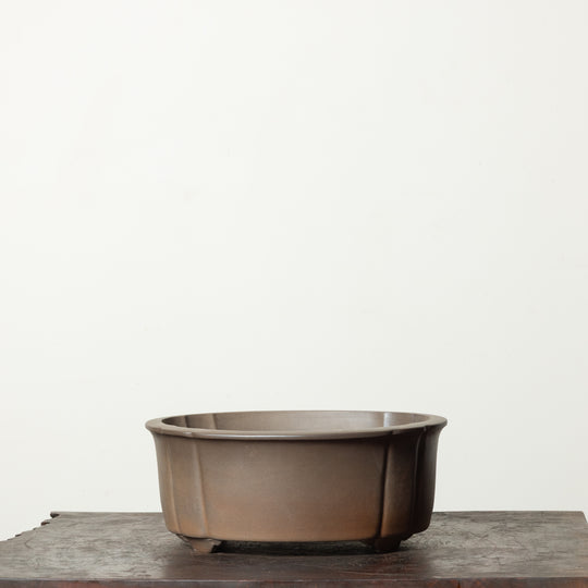 Matte Lotus No. 31