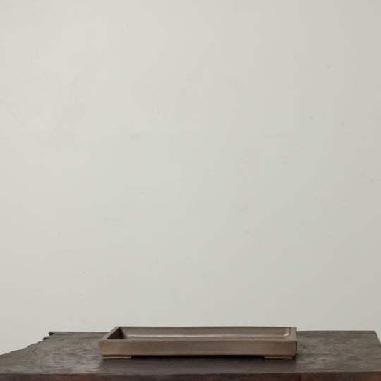 Matte Rectangle No. 37