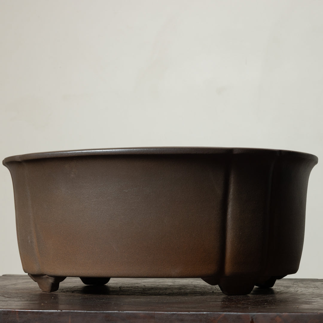 Matte Lotus No. 31