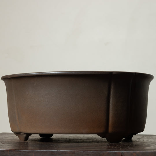 Matte Lotus No. 31