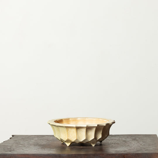 Glazed Round No. 177