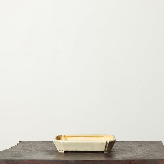 Glazed Rectangle No. 187