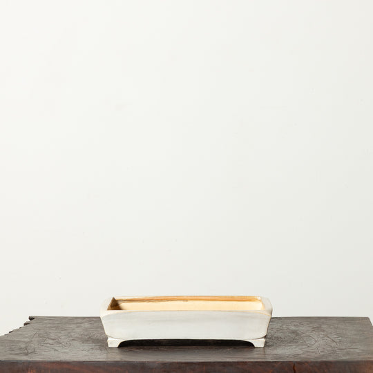 Glazed Rectangle No. 188