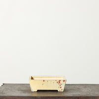 Glazed Square No. 23