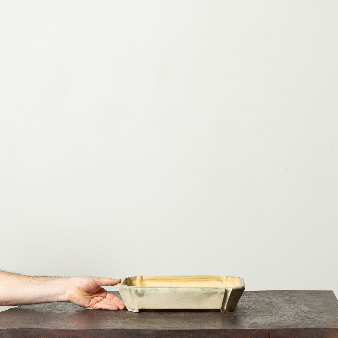 Glazed Rectangle No. 187