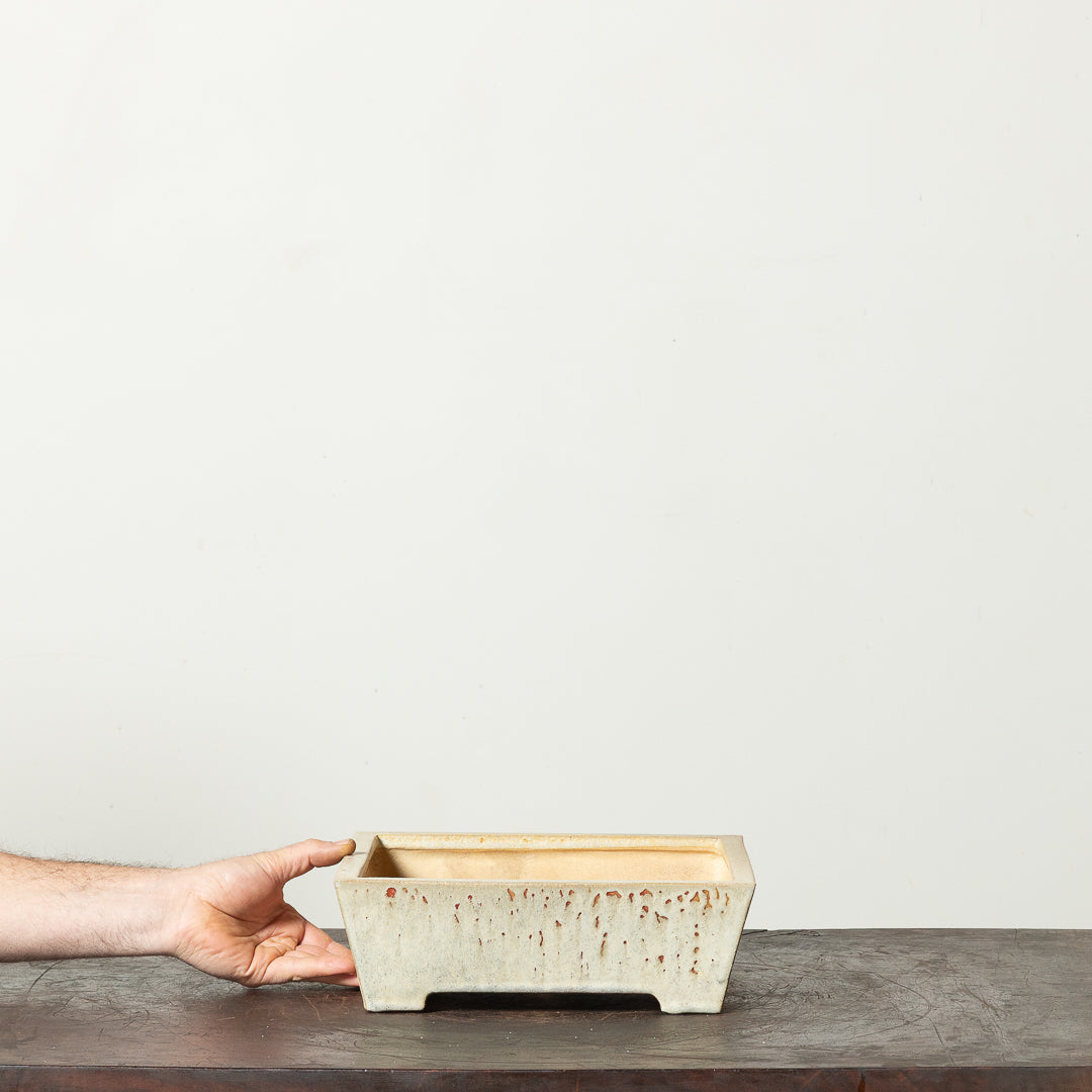 Glazed Square No. 23