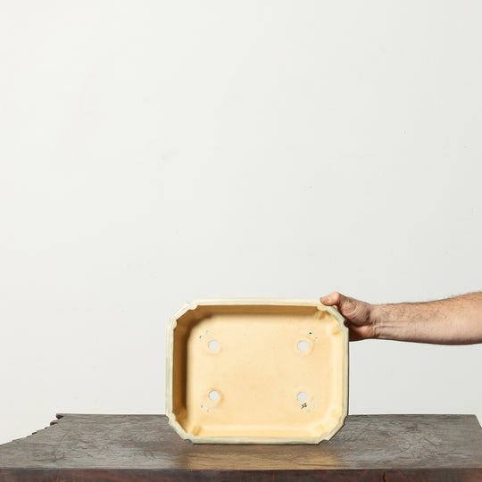 Glazed Rectangle No. 187