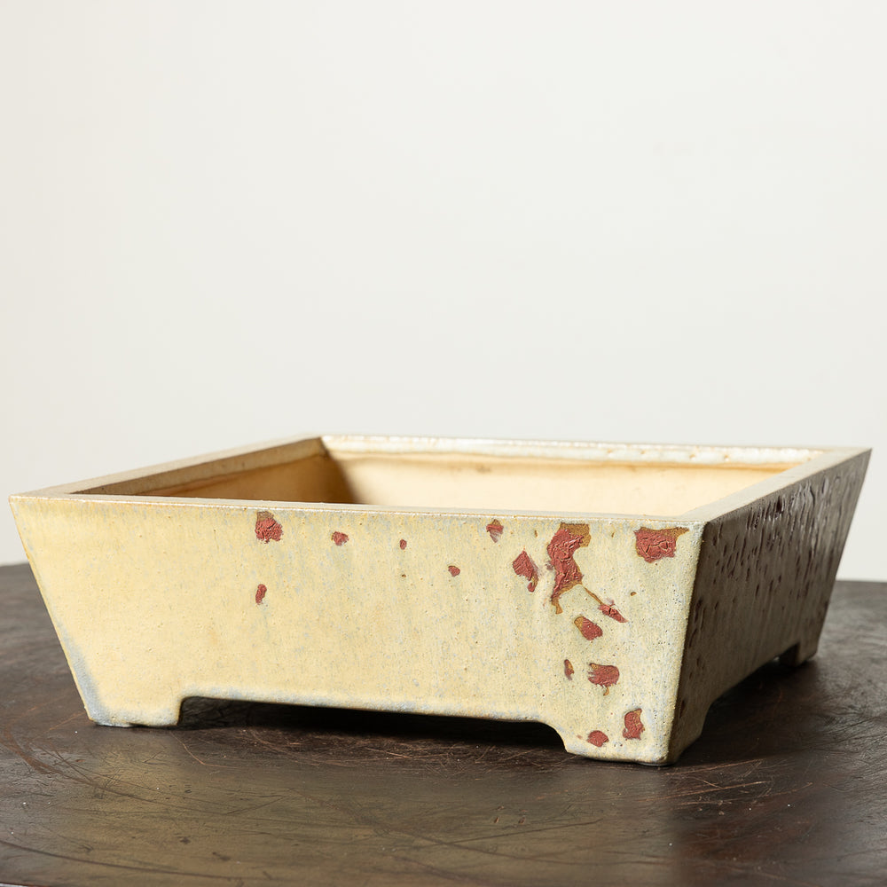 Glazed Square No. 23