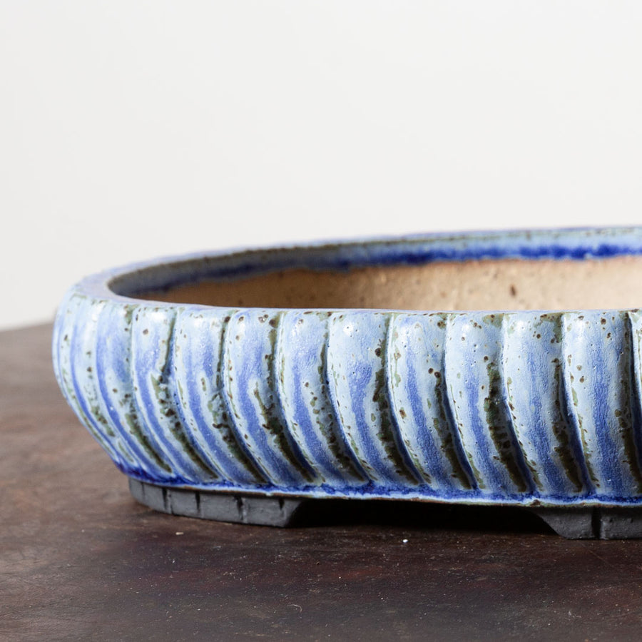 Untextured Oval No. 24