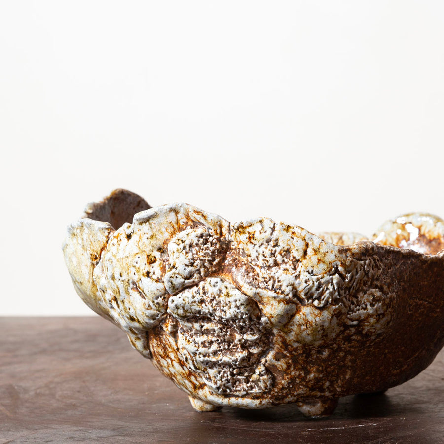 Soda-Fired Free Form No. 7