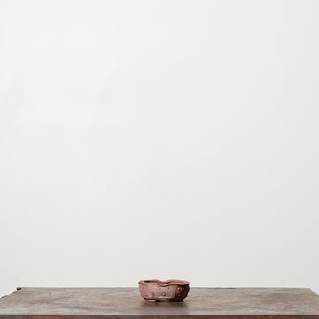 Lotus Reduction No. 8