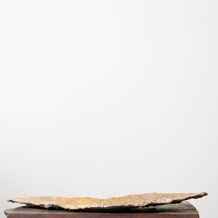 Natural Slab No. 60