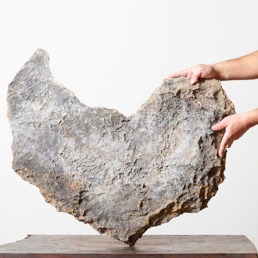 Natural Slab No. 58